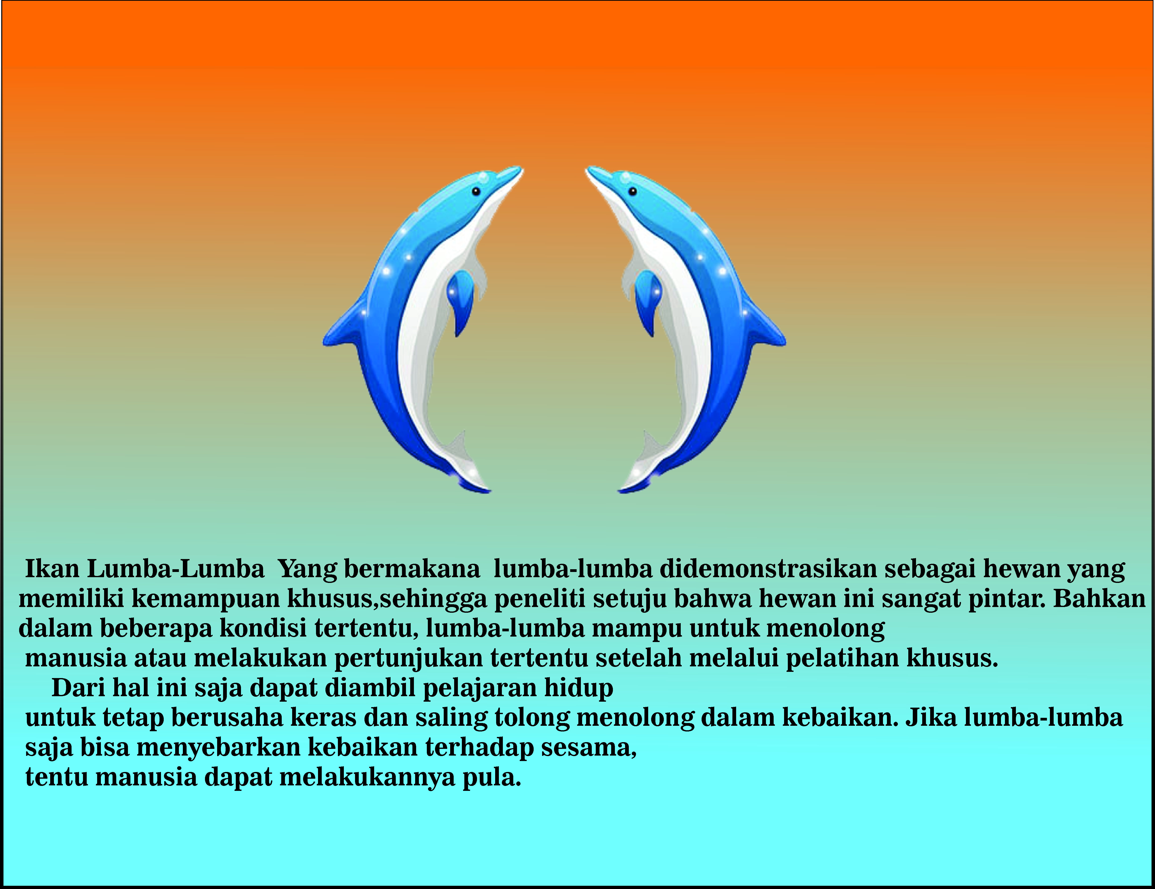 foto galeri
